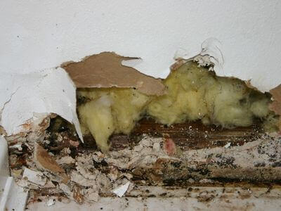 About Water Damage Restoration Green Level - water damage restoration experts in Green Level